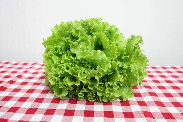 Alface Crespa (Un) - Imagem 3